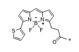 BODIPY 558/568化学结构